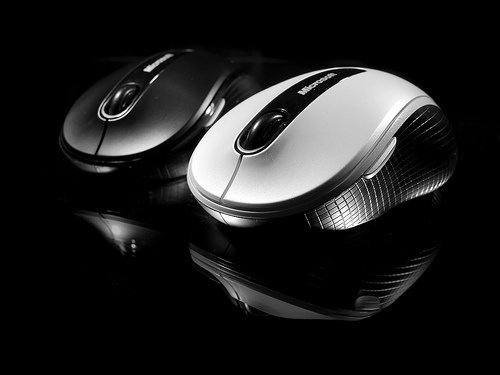 Mice
